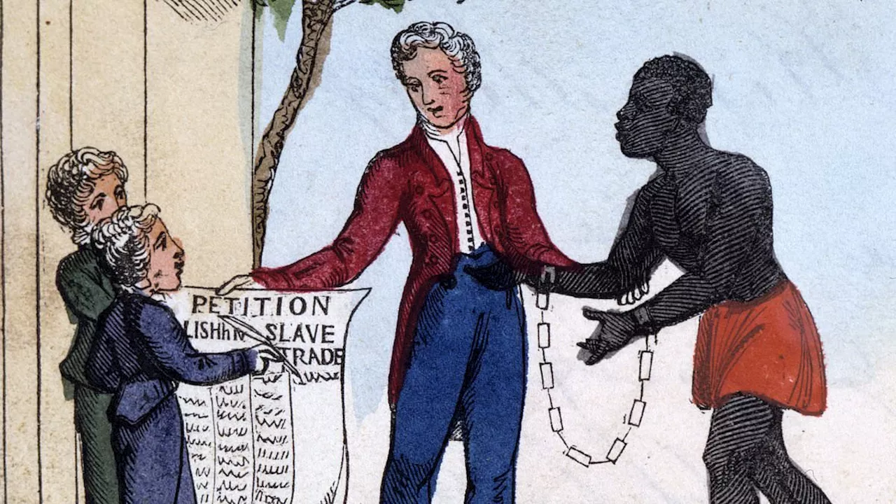 UK 'owes Caribbean nations £205bn in slavery reparations', says leading Cambridge academic