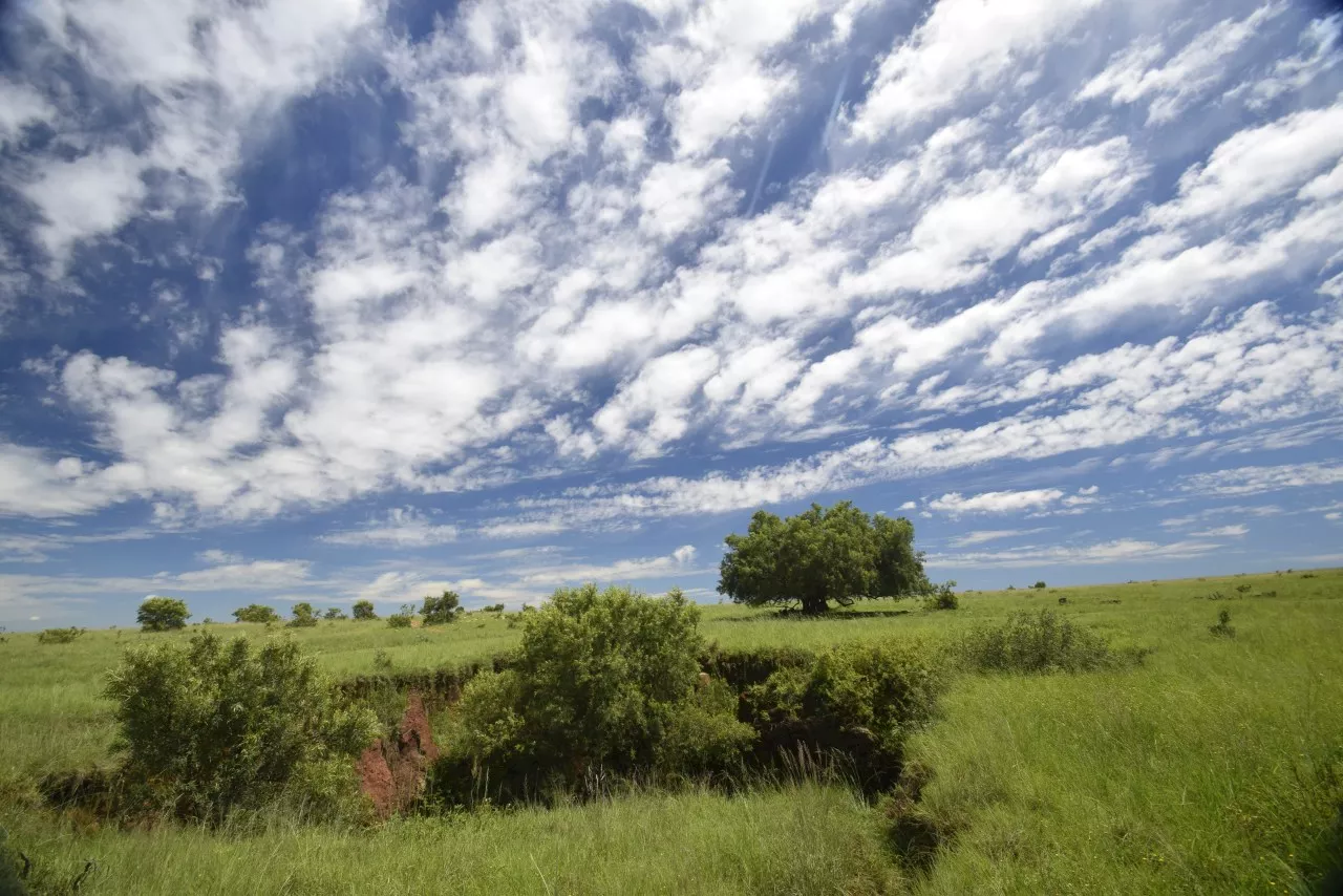 Greater Cradle Nature Reserve — a surprising origin safari to the roots of humankind