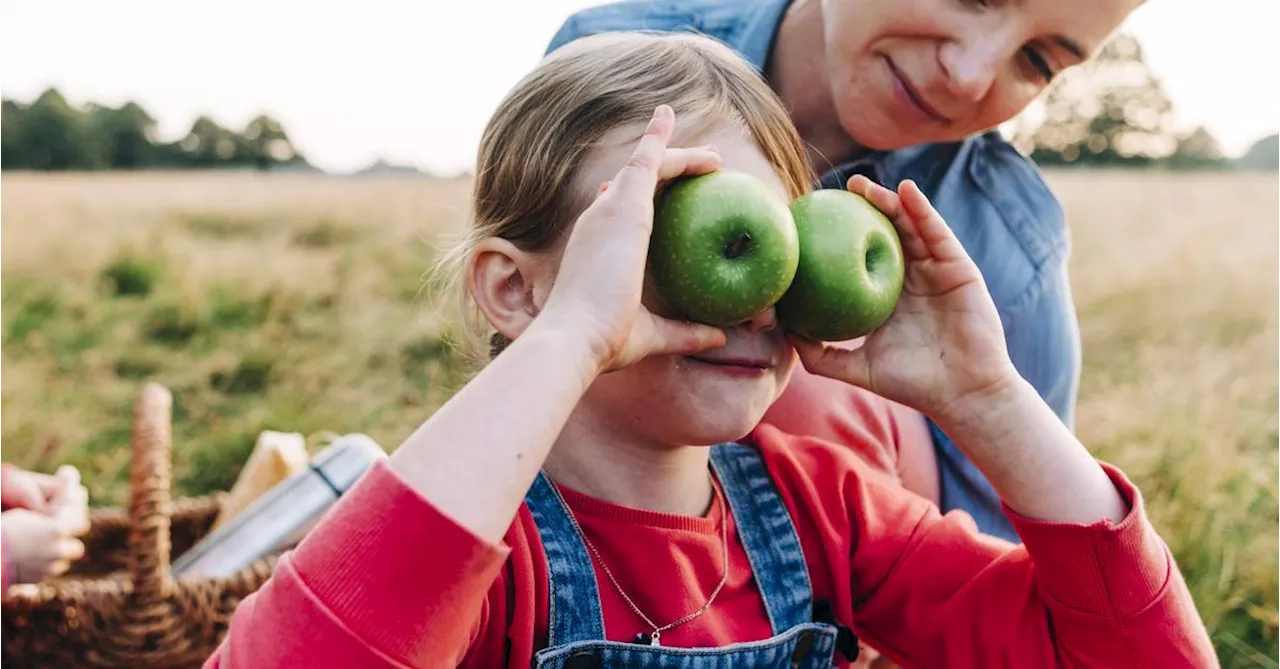 Wie zerstört und wie schont man Vitamine?