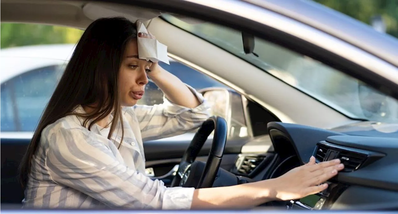 Tercera Ola de Calor en México: Sigue estas recomendaciones contra las altas temperaturas