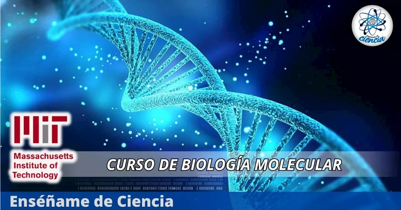 El Instituto Tecnológico de Massachussets lanza un curso de biología molecular, GRATIS y en línea