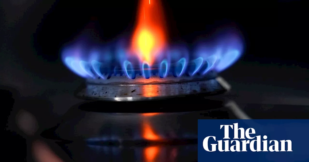 MasterChef Australia fans being deceived by ‘renewable gas’ campaign, climate advocates tell watchdog