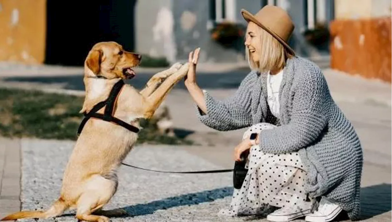 Qual è il nome ideale per il tuo cane? La risposta secondo la scienza