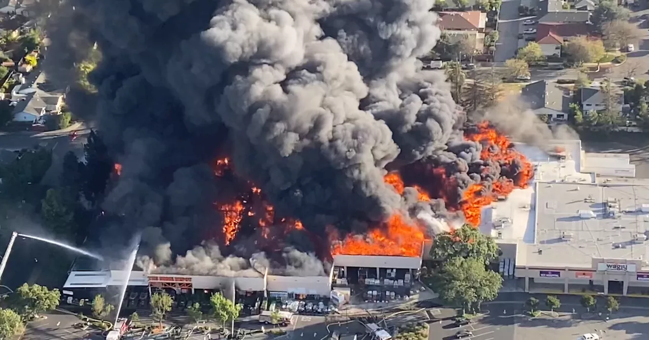 Home Depot paying $1.3M for fire code violations after arson destroys San Jose store