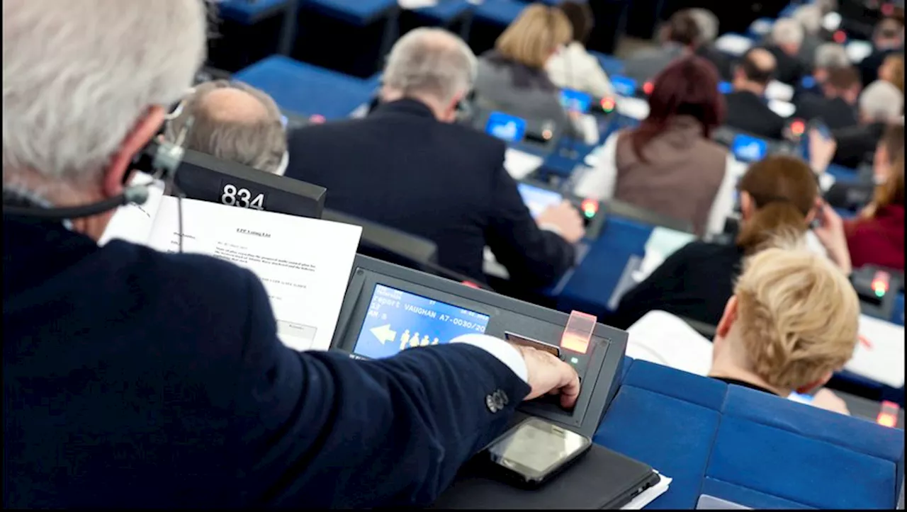 Elections européennes : à Bruxelles les sulfureux alliés du Rassemblement national