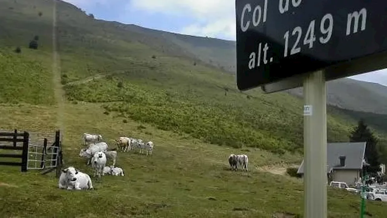 Enquête publique sur les chemins ruraux