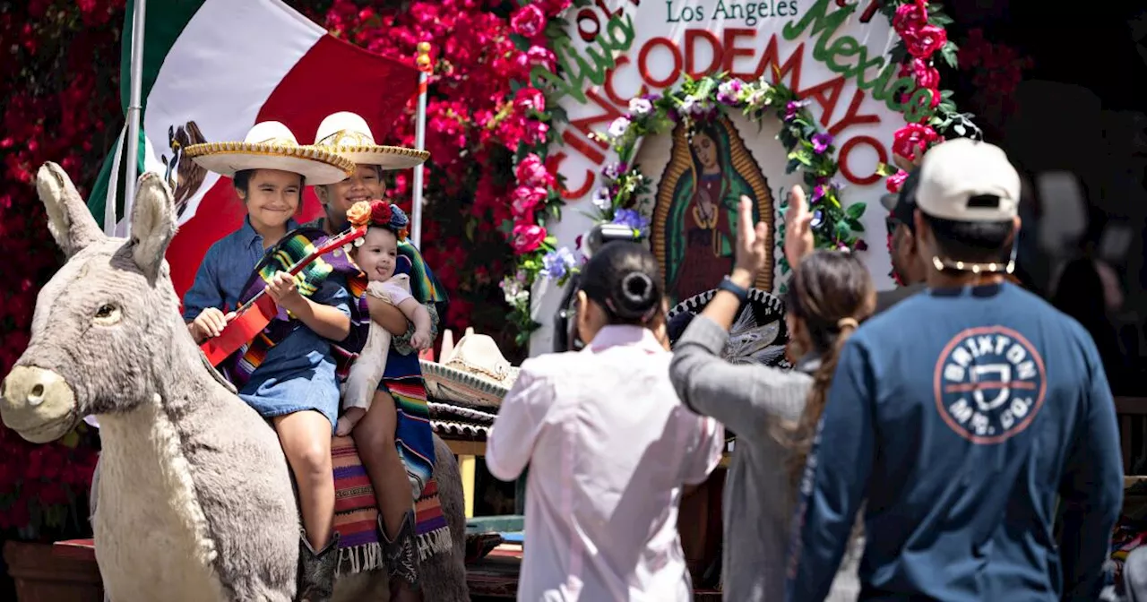 Why is a stuffed burro facing eviction from Olvera Street?