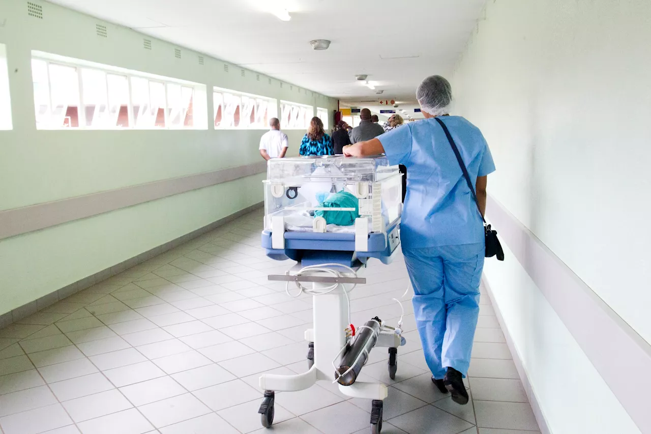 New AI model uses federated learning for multi-organ segmentation based on medical image data
