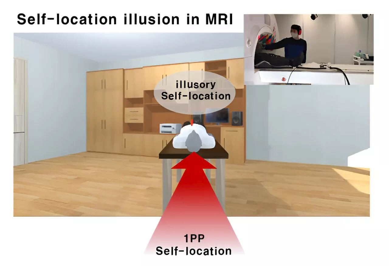 Tricking the brain's inner GPS: Grid cell responses to the illusion of self-location