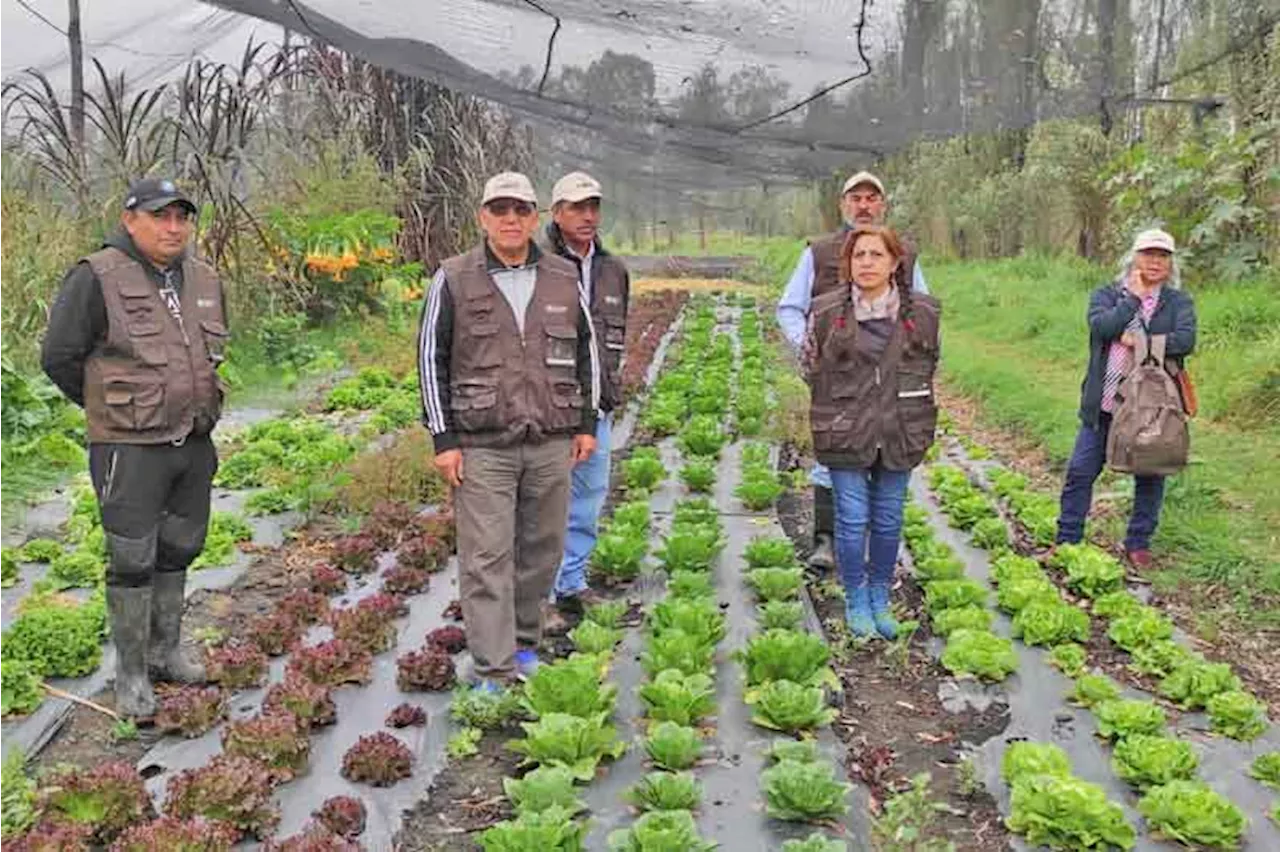 Soil doctors teach remedies to recharge lands, boost farm production