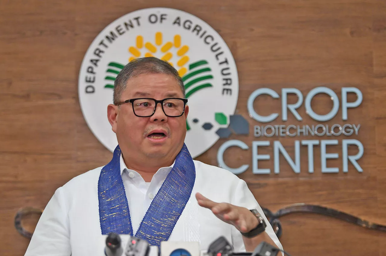 Sustainable agriculture key to food security — DA