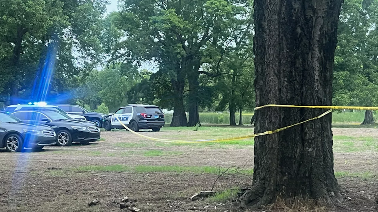 Baby unharmed as mother battles for life, man killed in shooting that sends car into pond