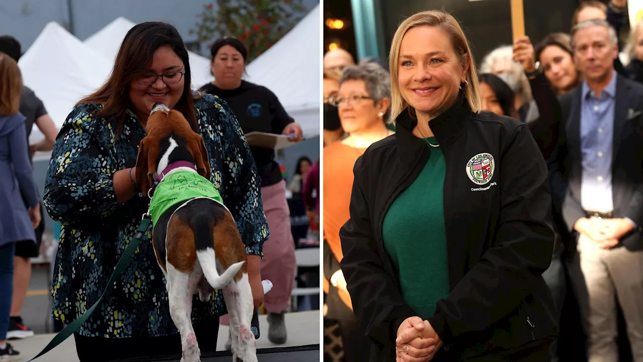 National Rescue Dog Day: How LA's dog breeding permit moratorium came about