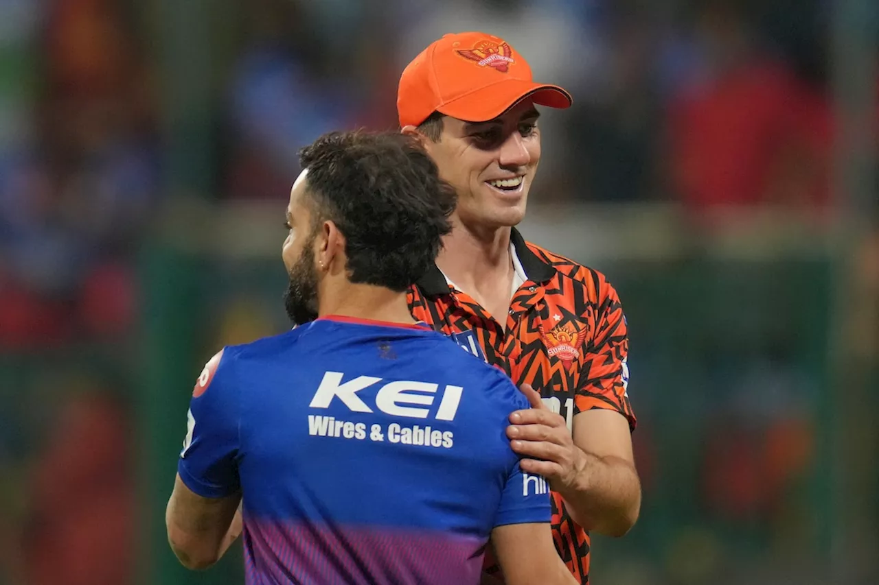 IPL 2024 में क्वालीफाई करने वाली टीमों में किस टीम का रहा कैसा प्रदर्शन? जानिए