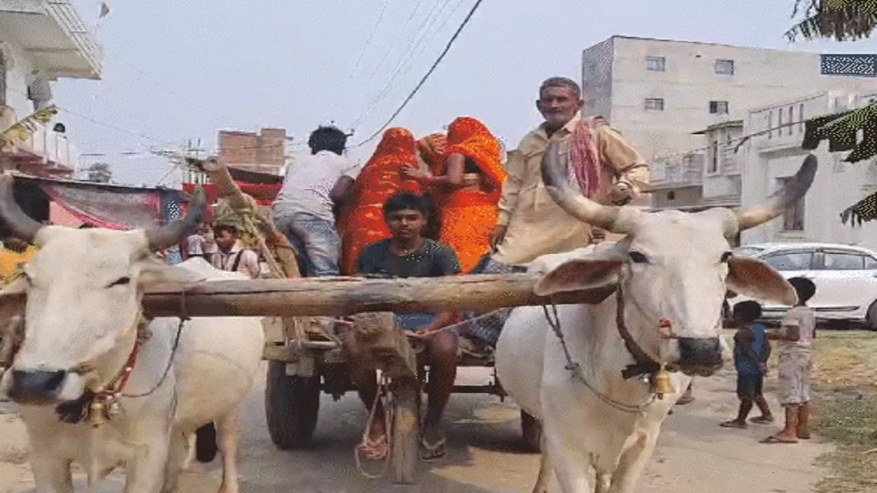 वोटिंग के बीच बिहार से आई दिलचस्प तस्वीर, बैलगाड़ी से वोट देने पहुंचे मतदाता