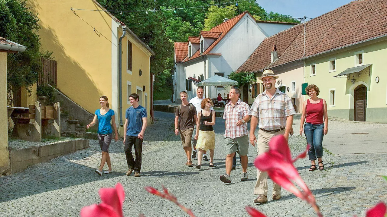 Jubiläum fürs Rohrendorfer Kellergassenfest