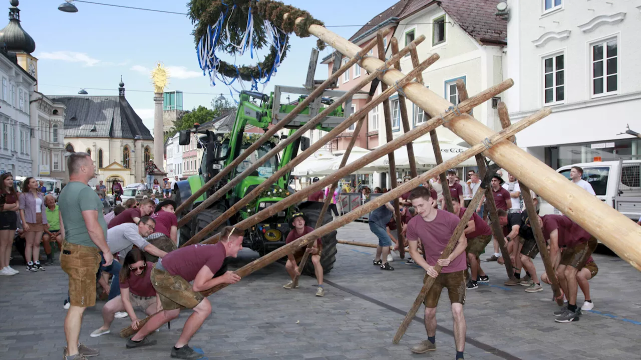 Maibaum-Dieben wurde in Waidhofen/Ybbs der Prozess gemacht