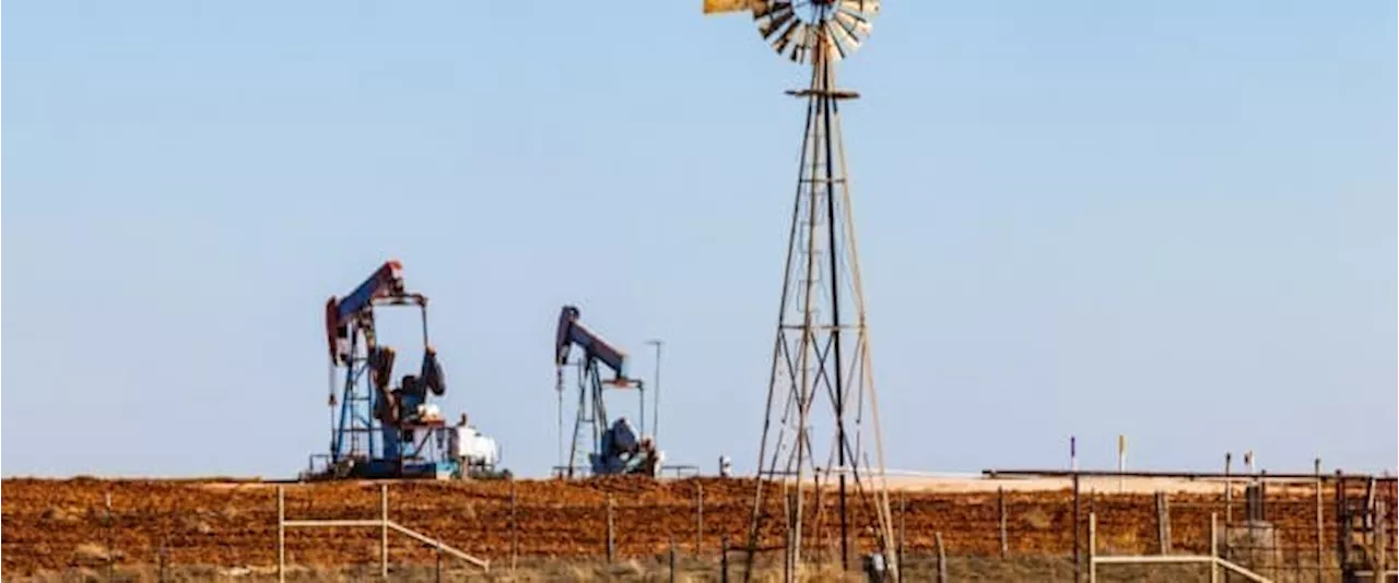 Endangered Lizard Threatens Oil and Gas Development in the Permian Basin