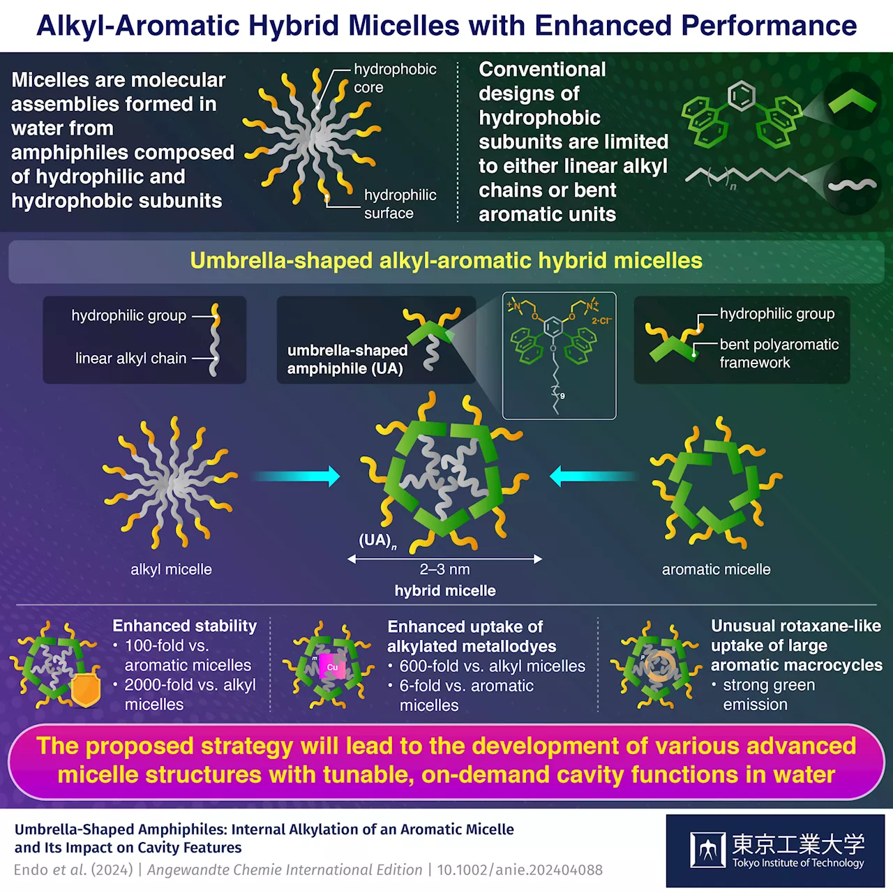 Study shows alkyl-aromatic hybrid micelles can form from emergent umbrella-shaped molecules