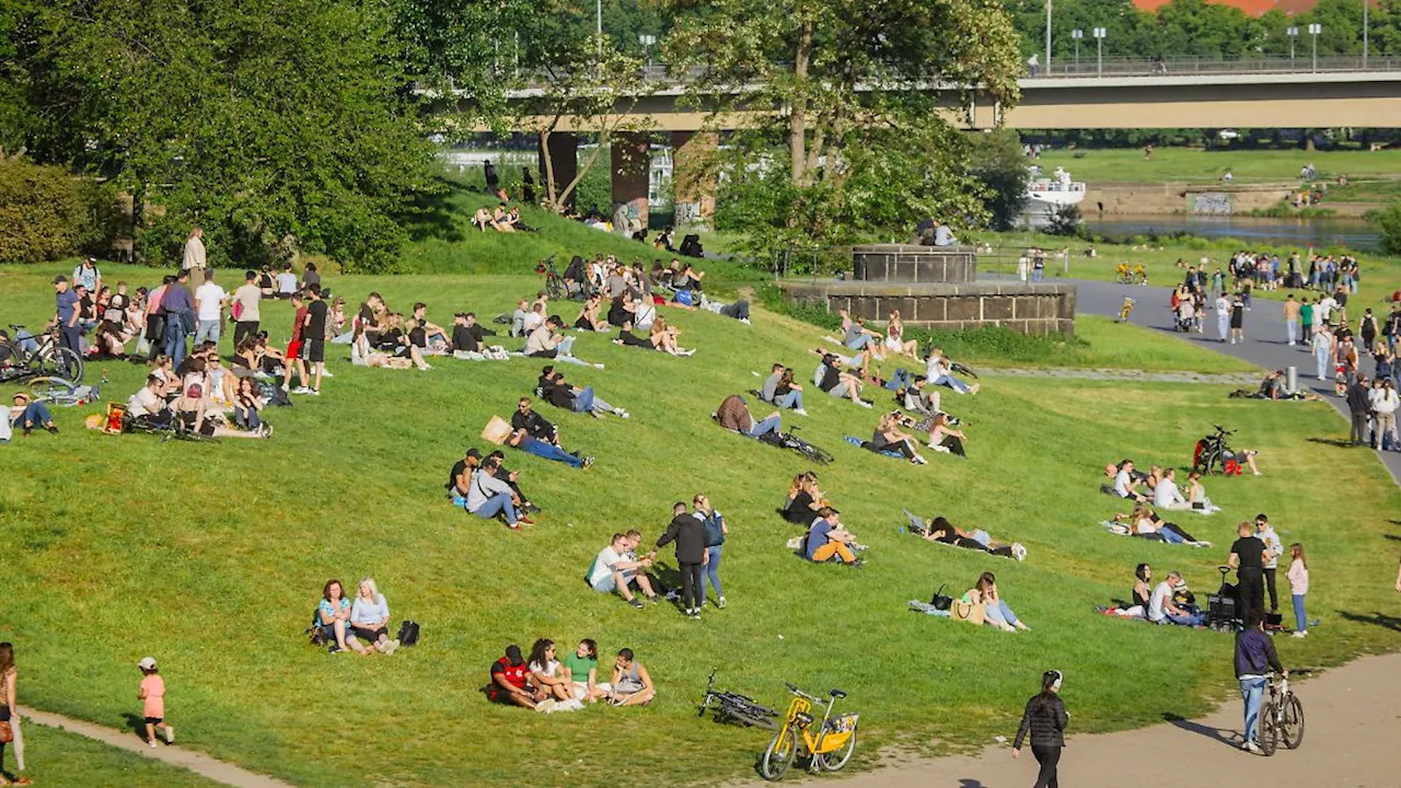 Zehn Verletzte bei Blitzeinschlag auf Dresdner Elbwiesen