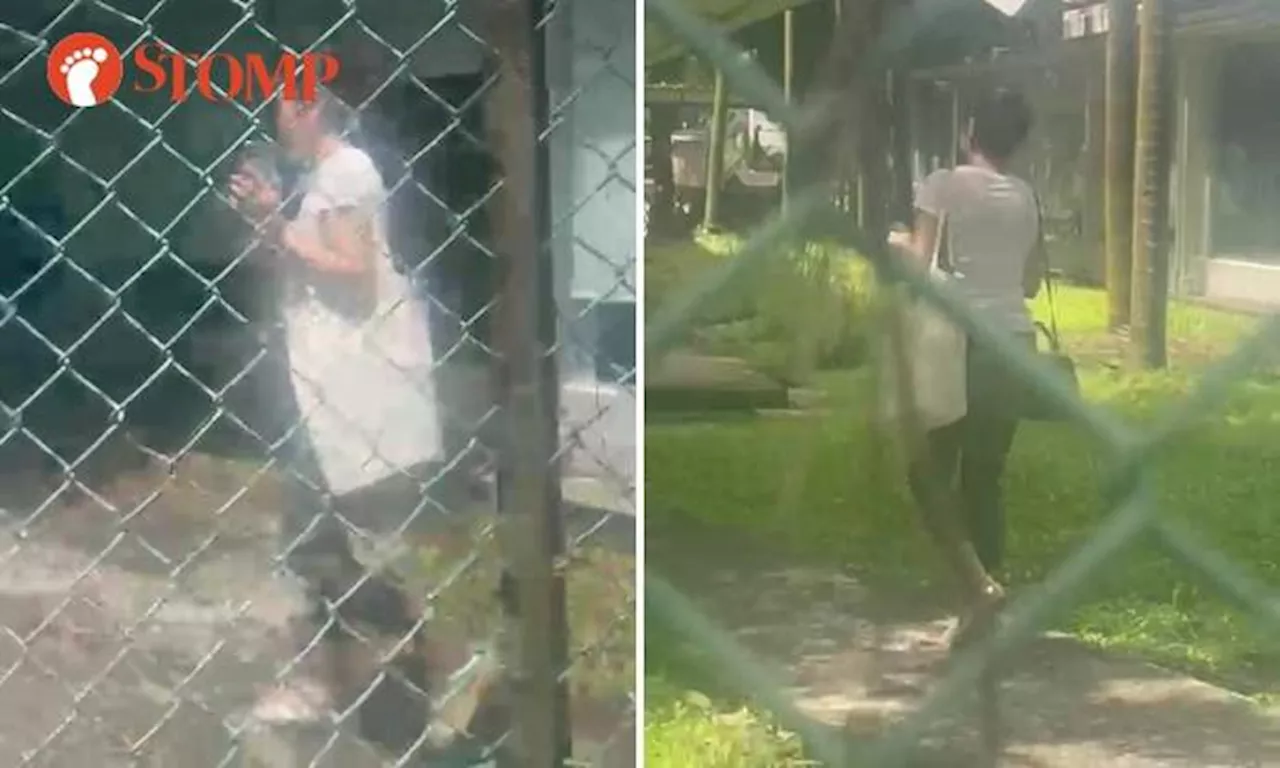 Woman makes PHV driver wait, slams car door after he tells her: 'Madam, I am not your private chauffeur'