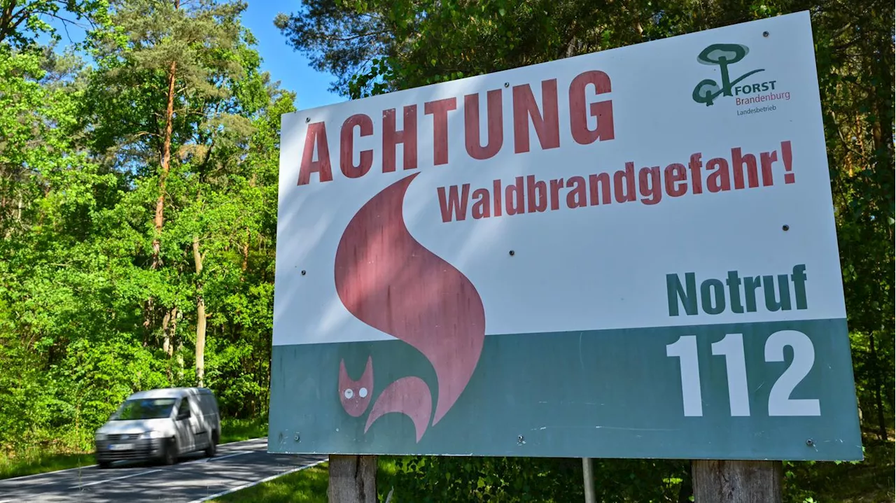 Waldbrandgefahr in Brandenburg: Nach Regen steigt Risiko aber wieder