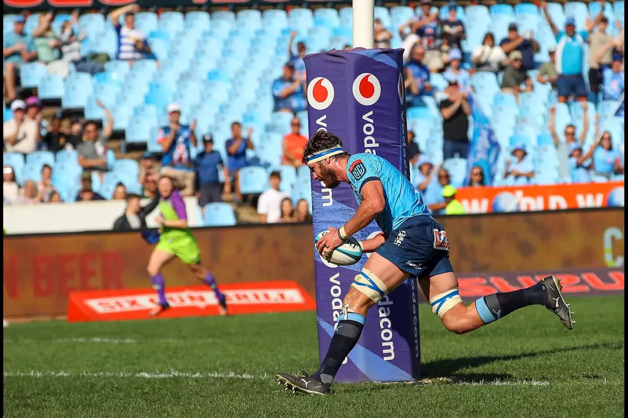 URC state of play: Bulls sitting pretty, Lions in must-win against Stormers