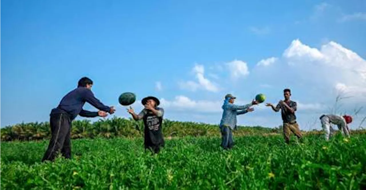 Program Kembara Komuniti bantu petani dalami teknologi vermikompos