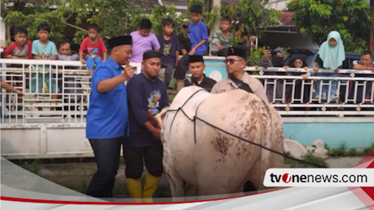 Warga Antusias Praktik Sembelih Hewan Qurban yang Halal