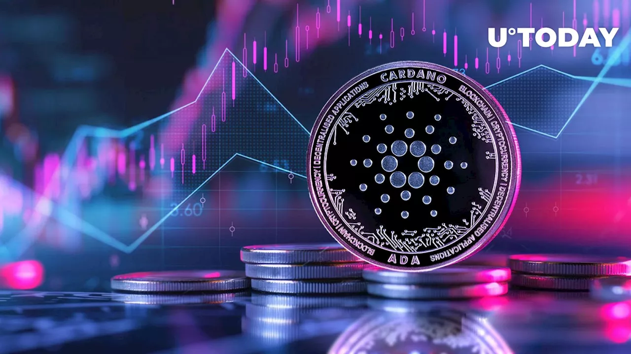 Cardano: 21 Billion ADA Shifted in Anticipation of Major Price Boost