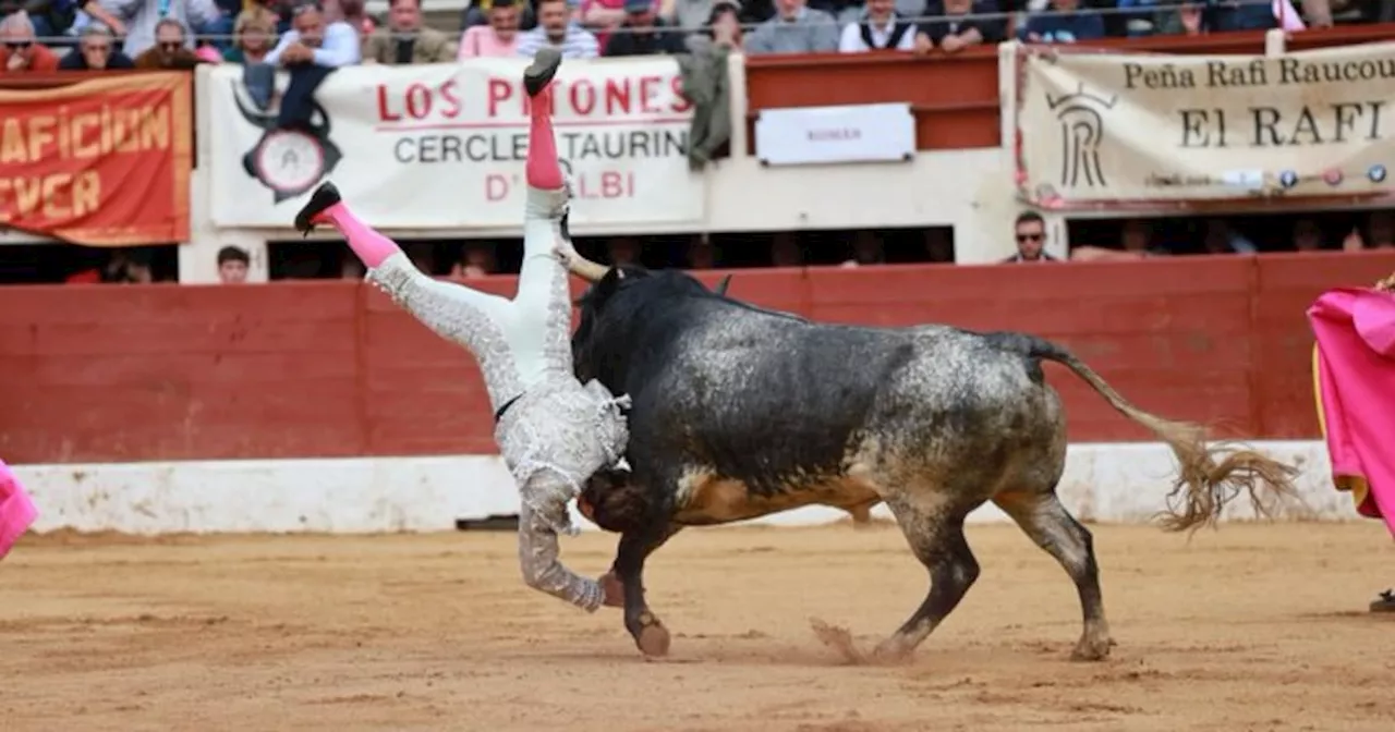 Video: torero español Román Collado sufre una grave cornada en Francia