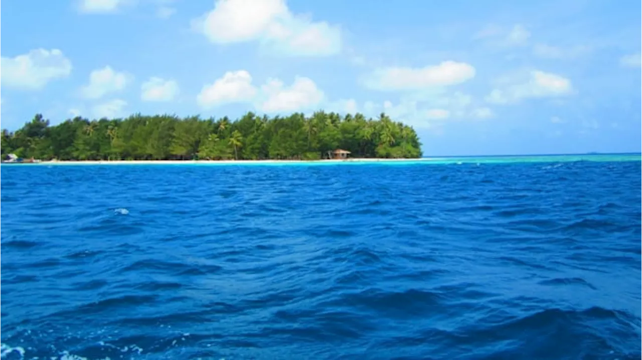 Laut Bukan Habitat Asli Manusia