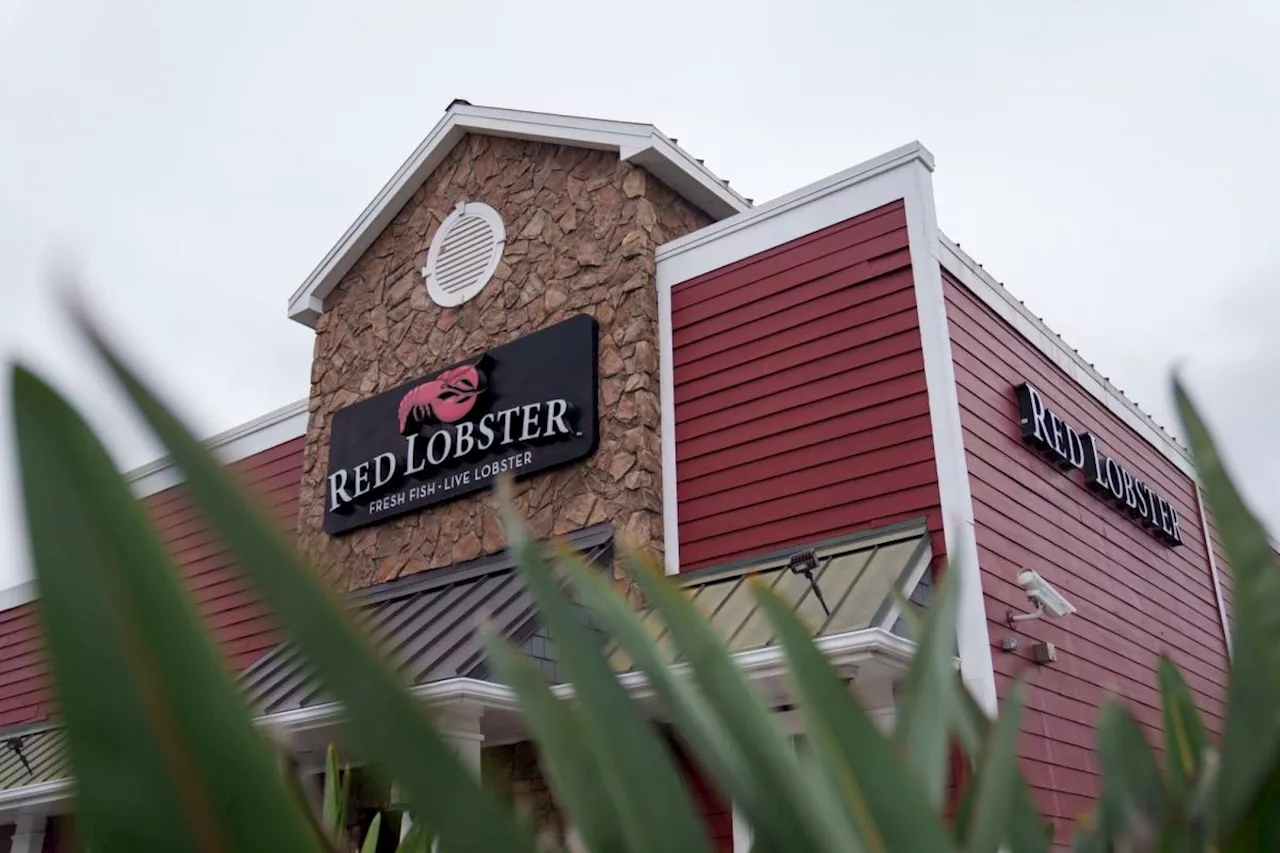 Red Lobster Chain Goes Bankrupt After Unlimited Shrimp Deal