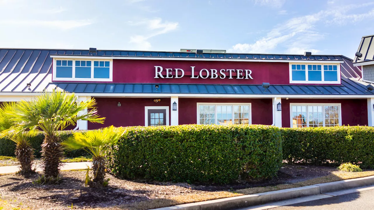 Red Lobster files for bankruptcy: What went wrong?