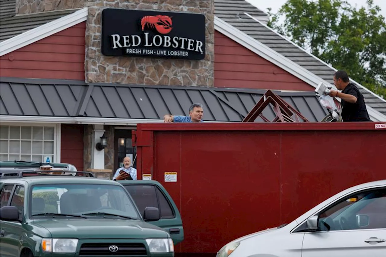 Red Lobster probes 'endless shrimp' losses after bankruptcy filing