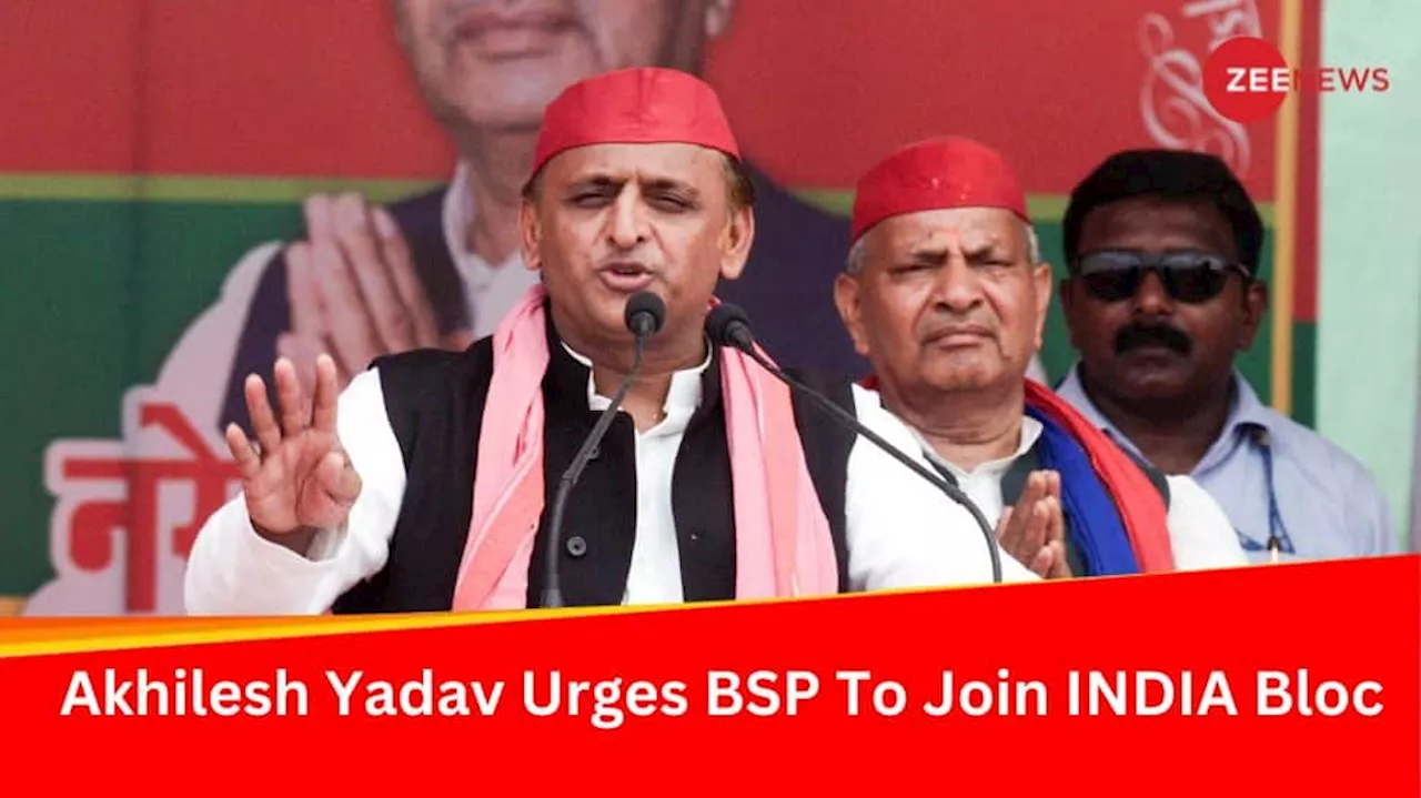 BSP Should Join INDIA Bloc: Akhilesh Yadavs Request To Mayawatis Party In 2024 Polls