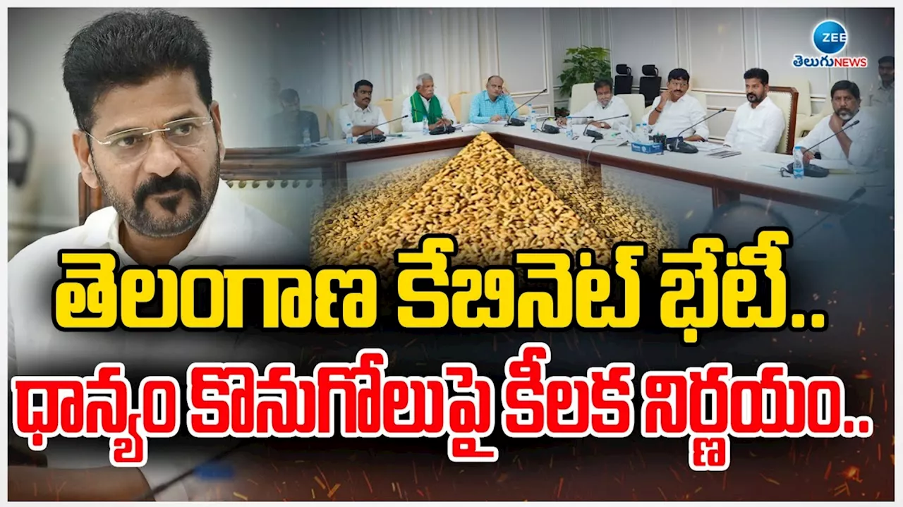 TS Cabinet: తెలంగాణ ఆవిర్భావ వేడుకలకు సోనియాను పిలుస్తాం: మంత్రివర్గ నిర్ణయాలు ఇవే..