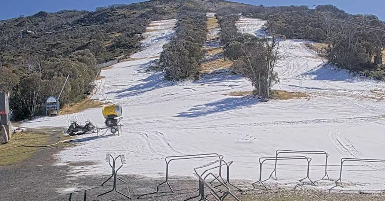 Ski resorts having to make their own snow as 2024 season nears