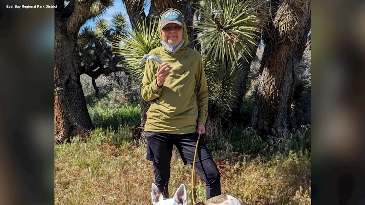 Missing East Bay hiker, dog found safe after search in Del Valle Regional Park