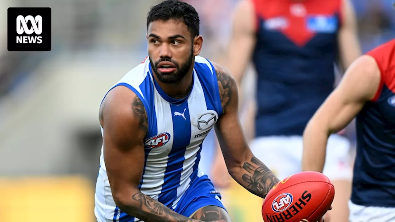 Former North Melbourne star Tarryn Thomas charged over alleged harassment of former partner