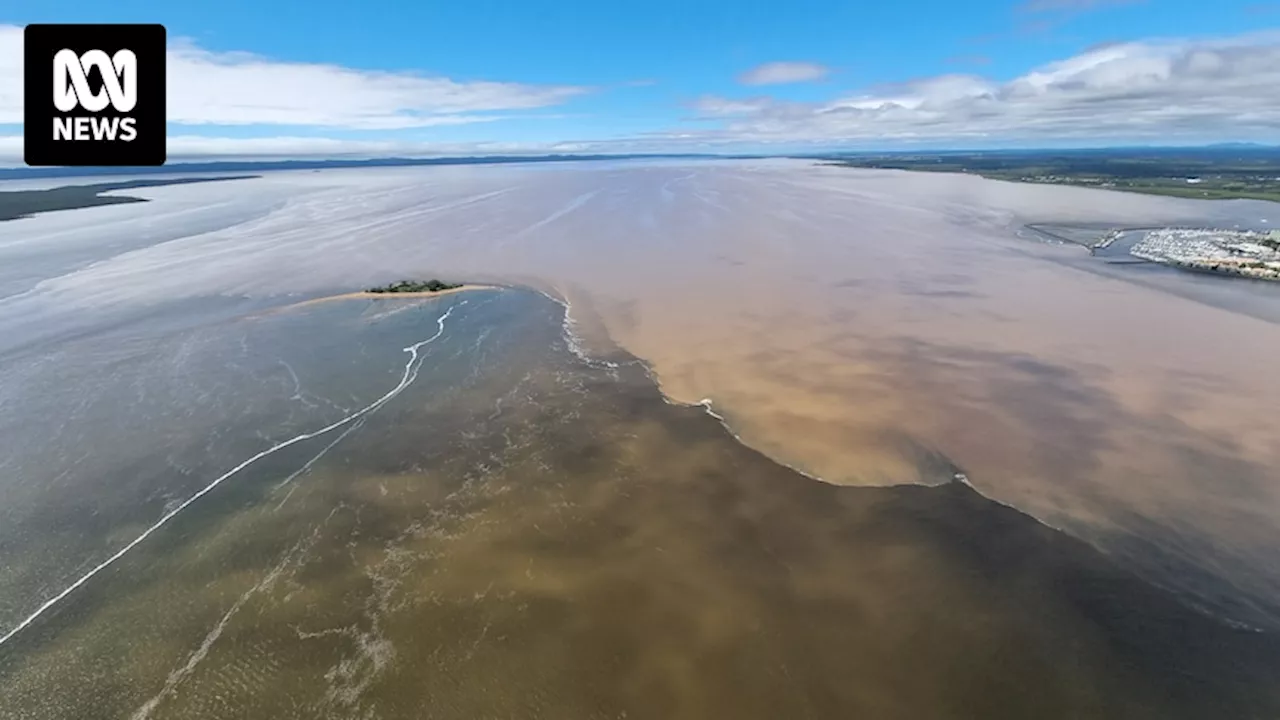 Queensland government tests Great Sandy Strait for herbicide damage to seagrass