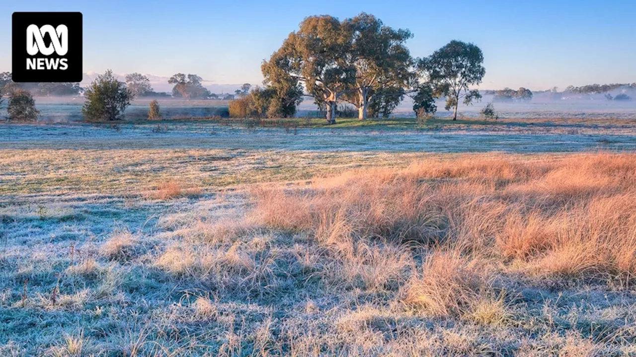 Queensland's cold weather expected to ease in coming days after first 'proper cold snap' of 2024