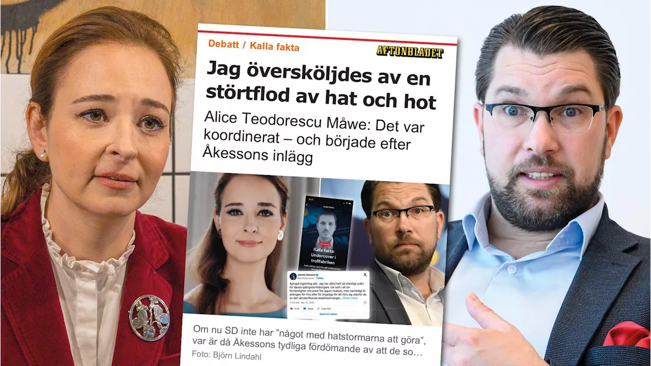 – så här är det i politiken, Alice Teodorescu Måwe