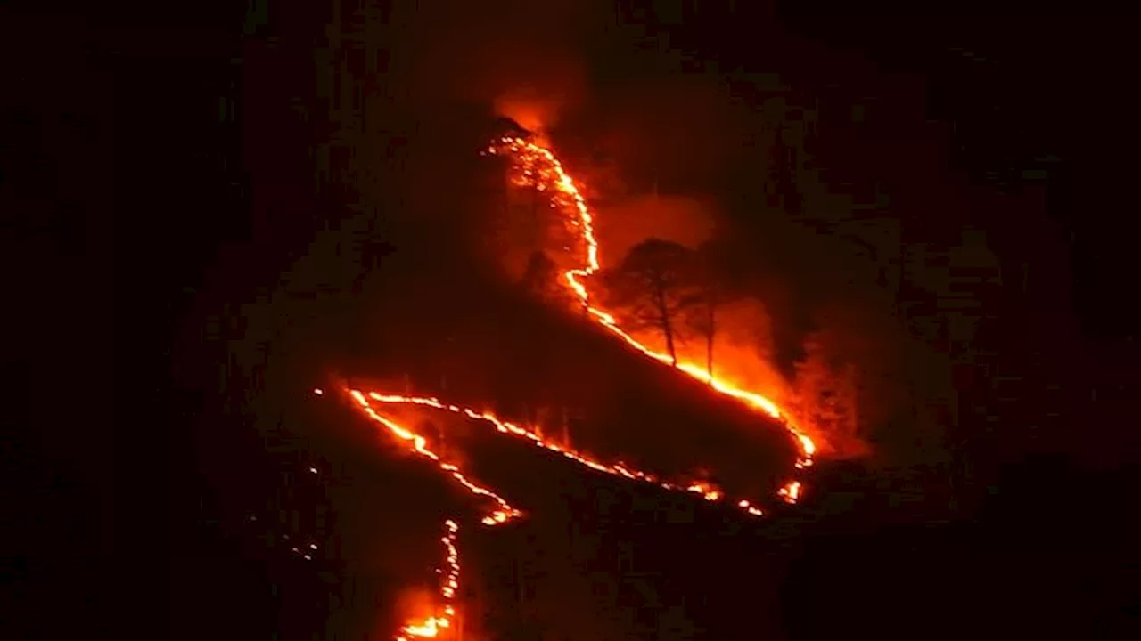 Uttarakhand Forest Fire: गढ़वाल में 23 जगह धधके जंगल, आरोप में तीन के खिलाफ मुकदमा दर्ज