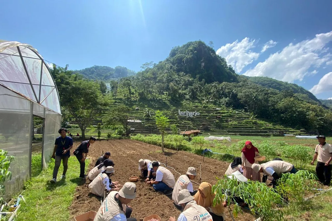 PPA-JIEP dukung pengembangan desa pertanian dan wisata Sriharjo di DIY