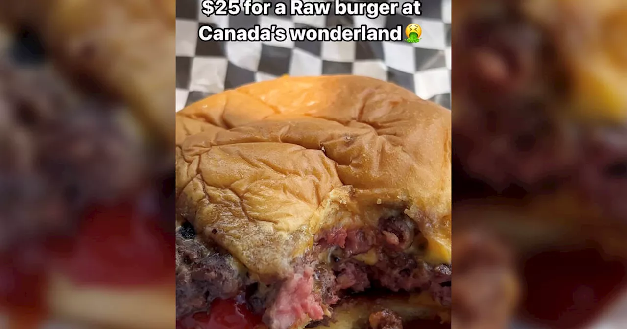 Someone claims Canada's Wonderland sold them a gross uncooked burger for $25