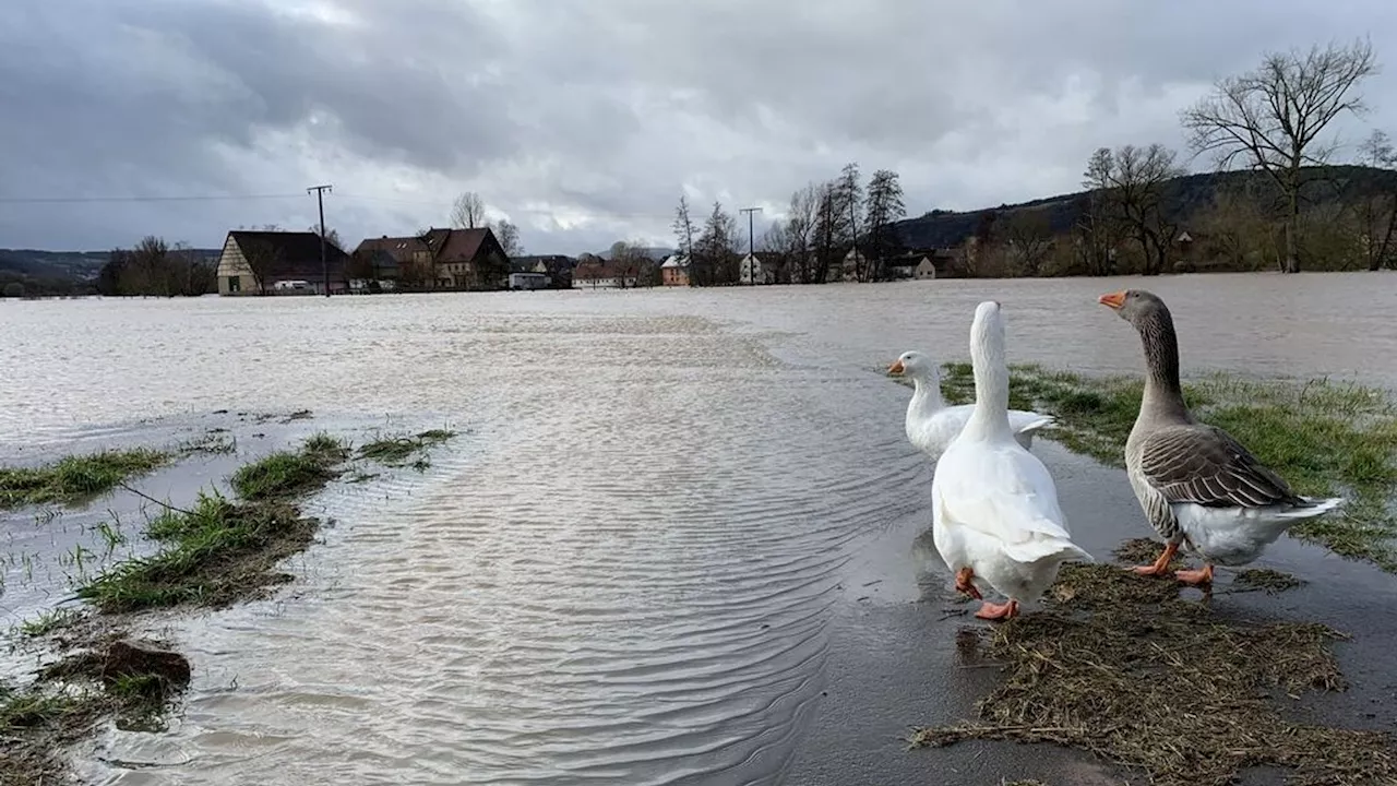 Schwammregionen: Wie Regenwasser intelligent gespeichert wird