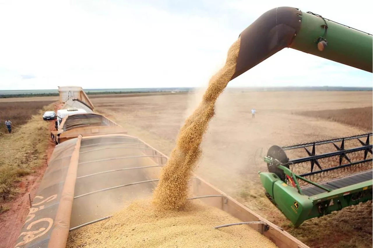 Mercado de máquina agrícola no RS estagna após enchentes, diz Anfavea