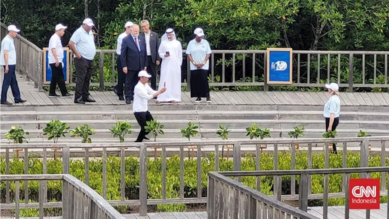 Jokowi Jadi Fotografer Dadakan Utusan Prancis, Istana Beri Penjelasan