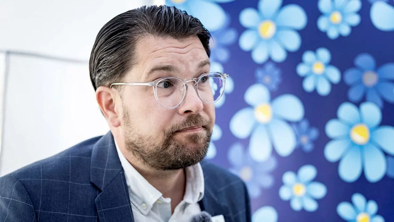 Experter: ”Humor” strategi för att dölja högerradikal opinionsbildning